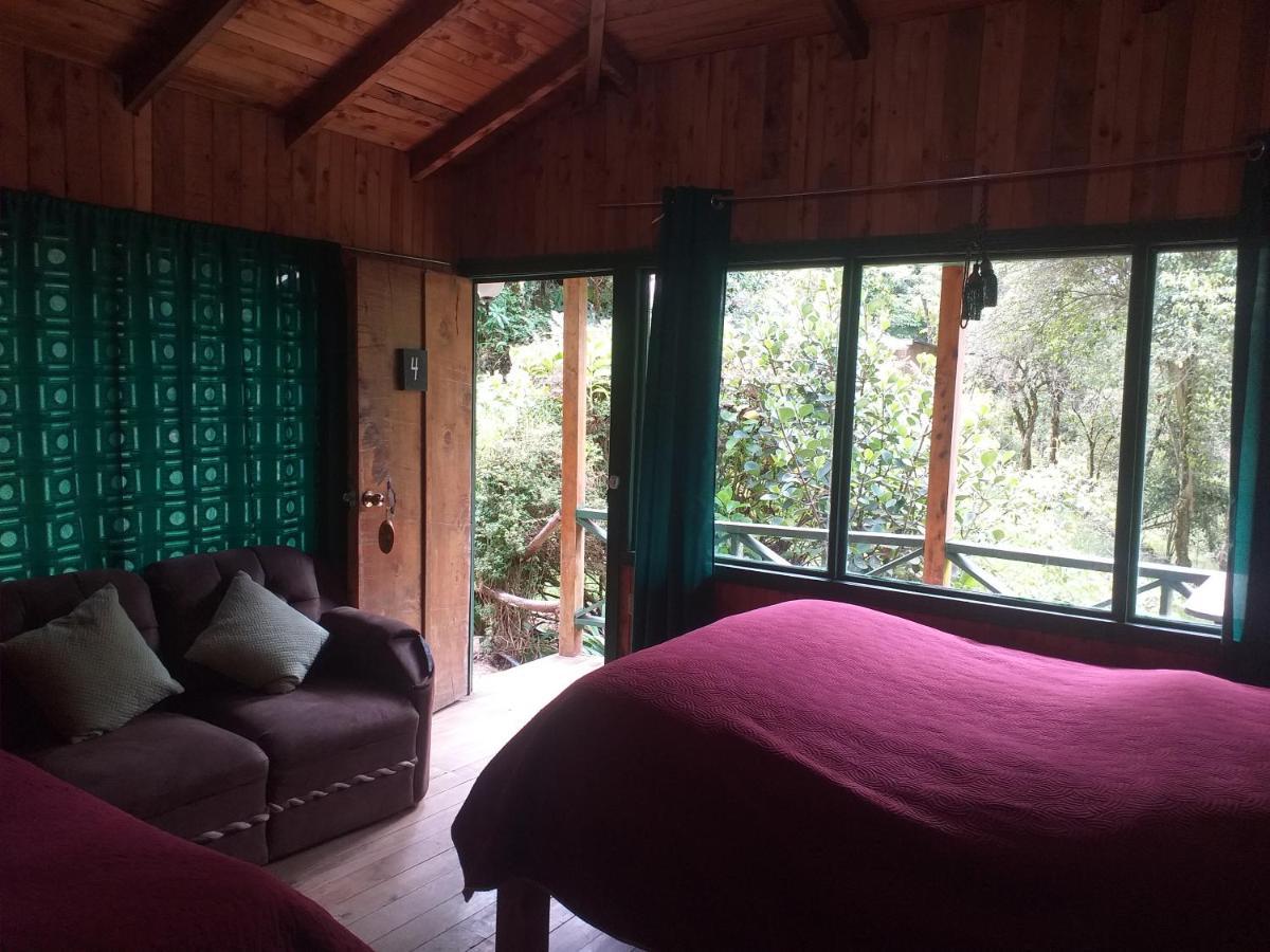 Las Cataratas Lodge San Gerardo de Dota Zimmer foto